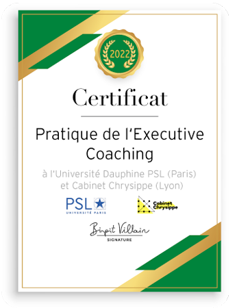 Birgit Villain Executive Coaching Certificat